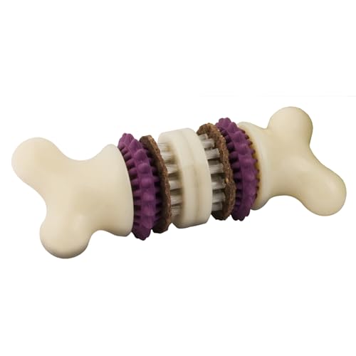 31LiYG9dP9L PetSafe Busy Buddy Bristle Bone - Chew Toy for Dogs -...