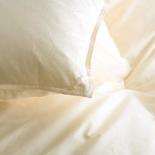 a Hѕzc zCg}U[O[X_E 93 DP420 Z~_u 100 { 50706 n/x[W[BE]458 Z~_u