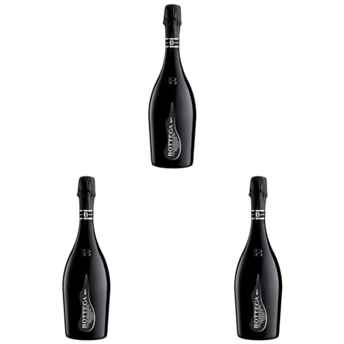 Bottega Il Vino dei Poeti Valdobbiadene Brut Prosecco Superiore DOCG Spumante - 750ml (Confezione da 3)