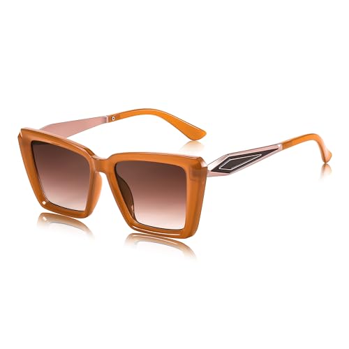 FEISEDY Trendy Cat Eye Women Sunglasses, Retro Womens Square Cateye Sun Glasses B9135
