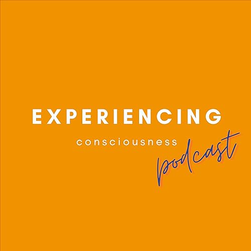 Experiencing Consciousness #2.34 | How To Discover Your Own Style In Using Hypnosis?