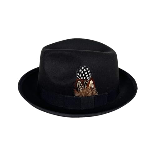 Chapeau Fedora en laine vintage élégant avec accents de plumes d'exception