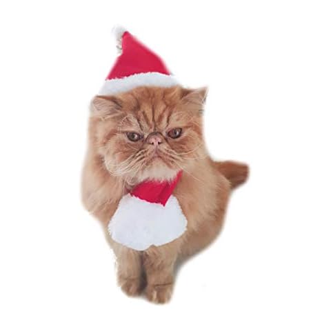 Cute Santa Claus Hat and Scarf Set Cover