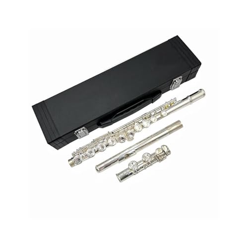 16�����^���t���[�g �v���t�F�b�V���i��C�L�[ �V���o�[���b�L �R���T�[�g(17 holes)