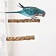 Hayaww 2 pcs Holz Vogelstange mit Saugnapf Sitzstangenständer Vogelstangenständer Sitzstangen Vögel Ständer mit Saugnapf für Fenster Papageiensitzleiter Holz Stepped Für Wohnzimmer Auto (A, M)