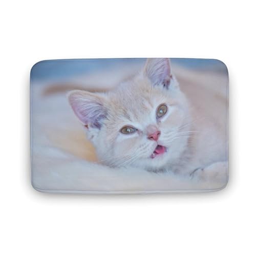 L   oX}bg z/唻 փ}bg  O   傫 ~ Aj LN^[ @}bg   ʏ