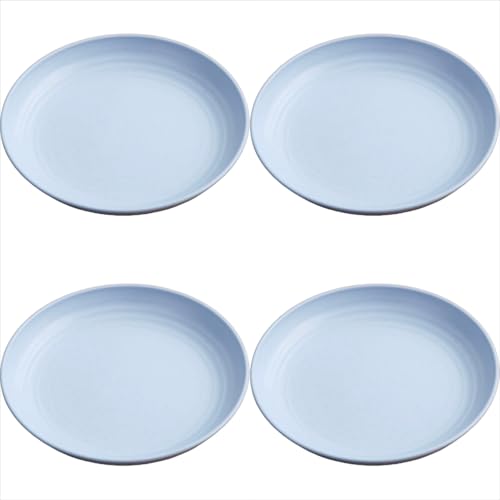 �����M �y�� ���Ȃ� �f�B�i�[�f�B�b�V���v���[�g�Z�b�g �H��􂢋@&�d�q�����W�Ή��i4�j (20cm�M,�k���u���[)