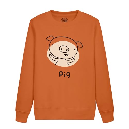 Sweatshirt enfant cochon zodiaque horoscope animal avec illustration astro