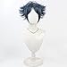 huafan luxkazya Short Grey Blue Cosplay Wigs for Men Short Layered Wig with Bangs Realistic Anime Costume Wigs Fashion Heat Resistant Synthetic Wig for Cosplay Party