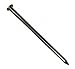 National Nail 16D Eg Common Nail 1Lb 0131197