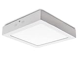 Esta luminaria está disponible en blanco natural (4200°K), blanco frío (6000°K) y blanco cálido (3000°K). La temperatura de color indicada puede sufrir oscilaciones correspondientes a una tolerancia del 7%.