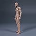 SOUFORCE 1:12 Scale Male Figure Body 6in Flexible Drawman Action Figure Doll Miniature Figure Collection