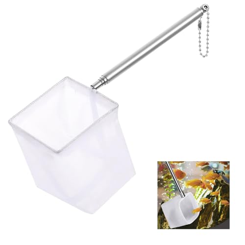 YANGWEN Mini Épuisette Aquarium 8cm, Mailles Fines Carrées Souples avec Manche Extensible en Acier Inoxydable pour Aquariums et Petits Bassins - pour...