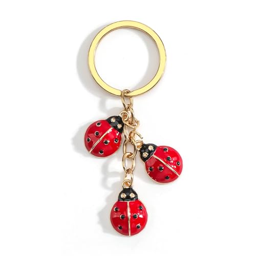 Porte-Clés Coccinelle Créatif Pour Femmes, Idée Cadeau Femme Anniversaire, Porte Clé Voiture Et...