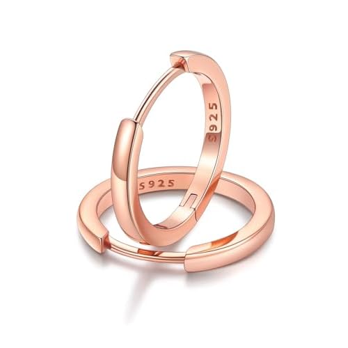 FaithHeart Sterling Silver Hoop Earrings for Women, Hypoallergenic Huggie Hoop Earrings Lightweight Small Cartilage Earrings Hoop Earring Dainty Everyday Earrings 6/8/10/12/14/15/16/18/20mm