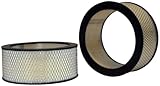 ACDelco Professional A2825C (89034503) Air Filter