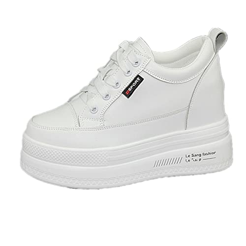 [LECMT] JWAV[Y fB[X  y   Cq[Xj[J[ 22.0cm H ~ Cq[ V[NbgV[Y w ₷ ₷ r EH[LOV[Y ʊw zCg C o U