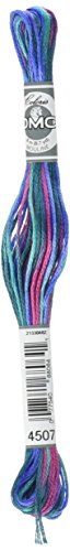 Hilo DMC para bordado color 4507 Jewel Circus miniatura 1