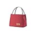 lopituwe Borsa da campeggio per il pranzo con manico Organizzatore termico Borsa da lavoro per studenti Box Office Picnic Pesca Barbecue, Vino rosso, Groß