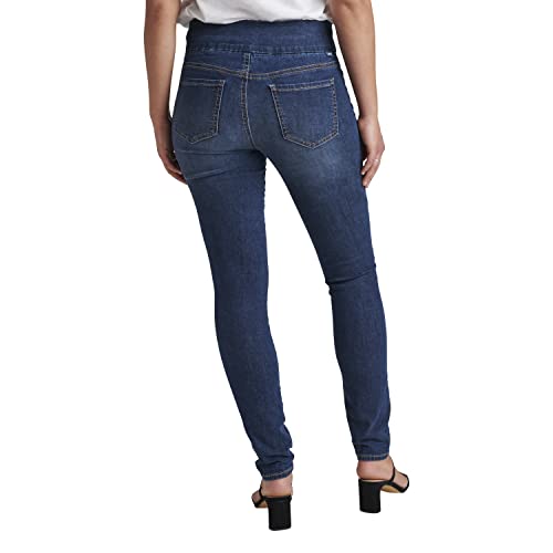 Jag Jeans Women's Petite Nora Mid Rise Skinny Pull-on Jeans-Legacy3