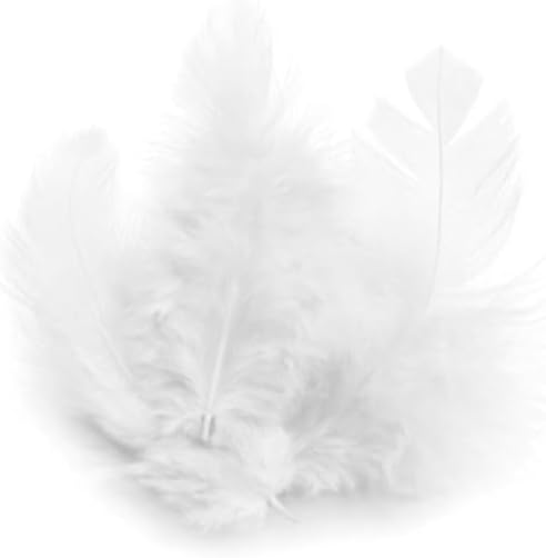Graine Créative Pack of 3 Cockerel Feathers 100 mm White