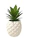White Porcelain Pineapple Ananas Faux Plant Potted Artificial Succulent 7.8