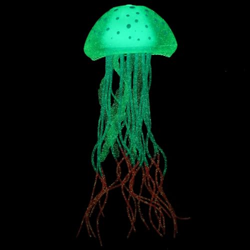 Abaodam uVR[كNQi ϖՐ̃AȐpI[ig ^N̐IȌiωo 