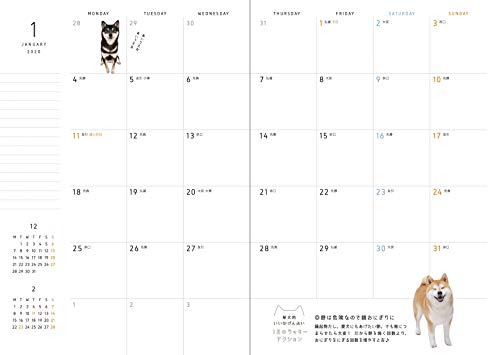 21年の柴犬手帳10選 柴犬グッズ特集