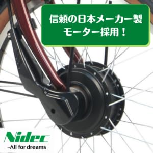 Amazon | PELTECH(ペルテック) ノンパンク電動アシスト三輪車 前輪20型 