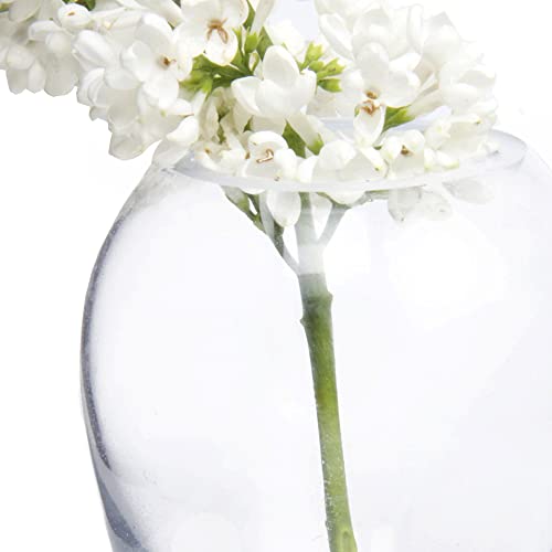 CHIVE ‘George’ Glass Bottle Flower Vases — Set of 6 — Small, Elegant Clear Glass Bud Vases — Bulk Pack for Home Decor & Table Centerpieces — Shape 1 (Oval, 4” Tall, 3” Wide)