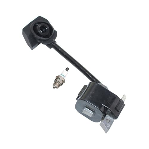 Bobine d'allumage EC025 résout les problèmes de démarrage à chaud EC025G