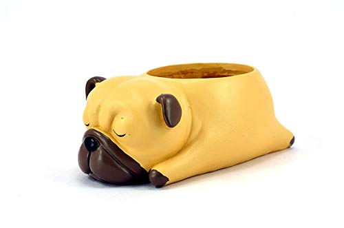 Image of Resin Pots Planter Combo Set of 6 Animals Shape Resin Succulent Pot Succulent Planter Flower Pots Indoor Container for Garden and Office Table (Set of 3 Animals)