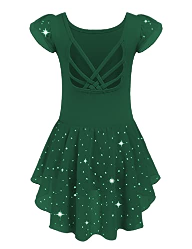 Image of Arshiner Girls Shiny Ruffle Sleeve Ballet Leotard with Skirt Criss-Cross Back Dance Dresses