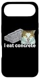 I Eat Cement Meme