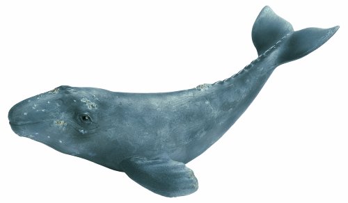 Preisvergleich Produktbild Schleich 16094 - Wild Life, Grauwalkalb