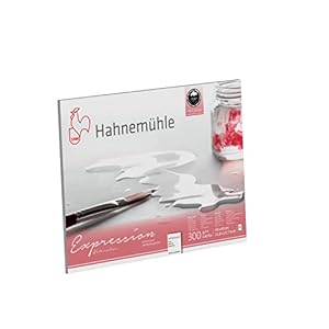 Hahnemuhle 23632 hochwertige Künstlerpapiere, White, medium