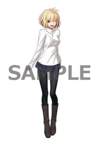 Amazon.co.jp: 月姫 メロンブックス特典 等身大タペストリー