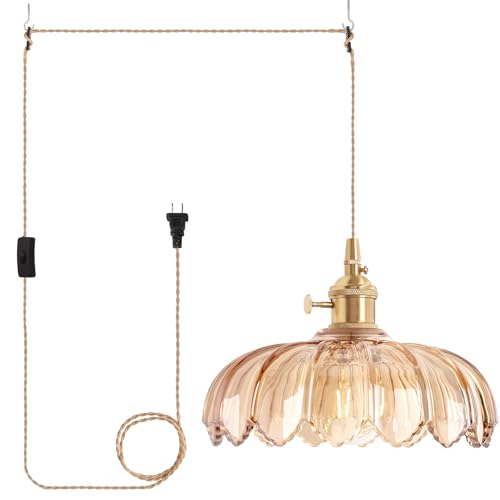 Image of Shenmoyl Plug in Pendant Light Hanging Light Fixtures with Plugin Cord On /Off Switch,Amber Scindapsus Glass Lampshade Brass Pendant Light