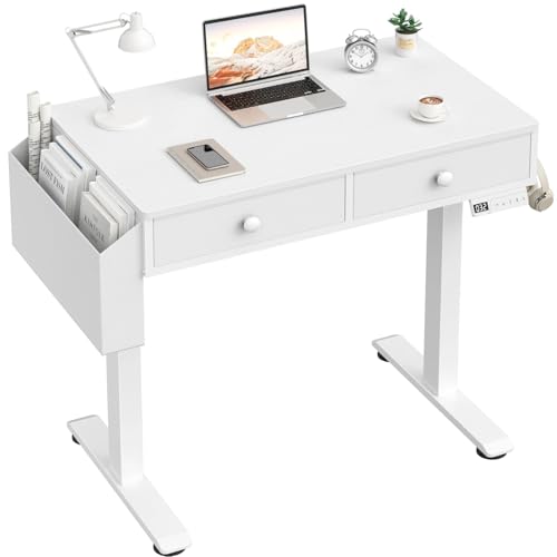 KLUVIS Electric Standing Desk with Drawers...