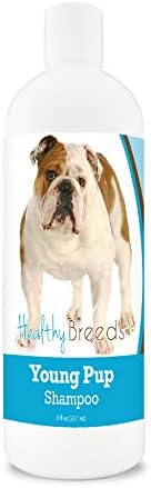 Healthy Breeds Bulldog Young Pup Shampoo 8 oz