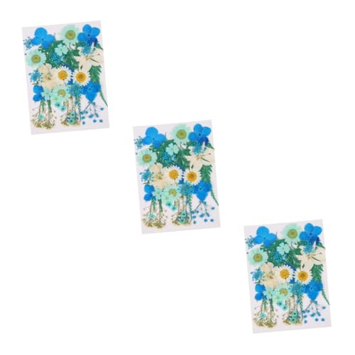 Sewroro 3 Conjuntos De Pacote De Material De Flores Secas Flores Secas Comestíveis Material De Flore