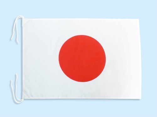 Amazon.co.jp: 日本国旗(L) 日本代表応援用 日の丸 [50×75cm 材質