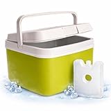 Premium Kühlbox 15L mit mobilem Kühlakku & Kühlelement – Maximale Kühlleistung & Lange Frische - Kühltasche (Grün)