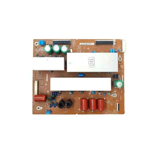 RAYPUR Plasma TV Xsus Board BN96-16516A LJ92-01759A LJ41-09422A X-Main Boardï¼ŒCompatible for Samsung PL51D450A2 PL51D490A1 PN51D430A Circuit Board