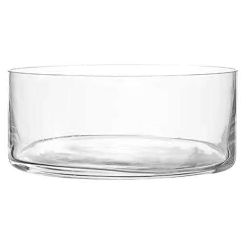 Artibetter Bol Terrarium Jardinière Succulente: Fleur Vase en Verre Air Plante Affichage Pièce Maîtresse Décorative Récipient Floral Bocal À Poissons...