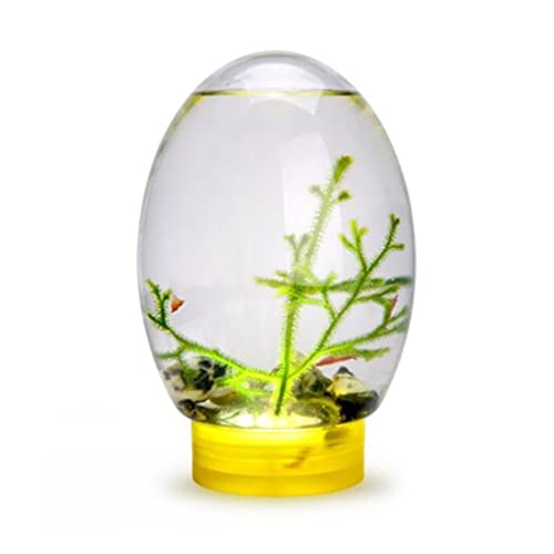 Ecosistema acuático cerrado Ecosistema acuático de Mini Aquarium...