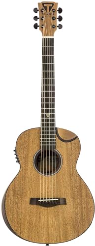 Traveler Guitar Redlands Concert