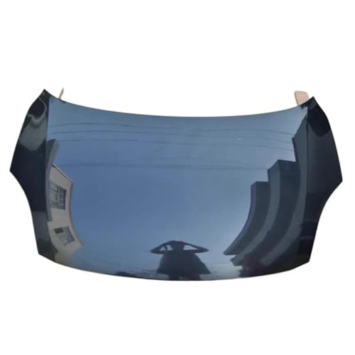 Ԃ̏CAbvO[hOόJ[{t@Co[GWt[h{lbgJo[݊ 05-16 XYLXCtg