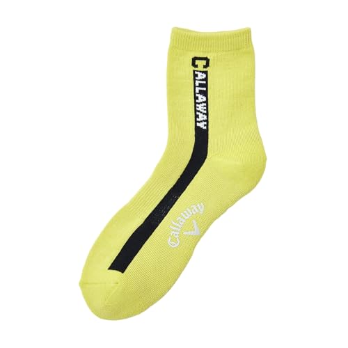 [LEFC] Y RۖhL V[g\bNX (@\f:EZ DRY) / St C / C24293107 1130_CgO[