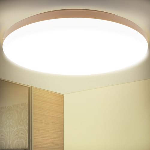 LEZOE Plafón LED Ø30 cm 18 W, luminaria 2450 lm 136 (Lm/W) 4000 K, luz de techo impermeable ideal para salón/cocina/balcón/sótano/dormitorio/pasillo sin parpadeo ahorro de energía